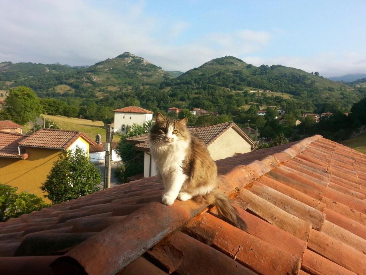 Posada El Pareon Sirviella ภายนอก รูปภาพ